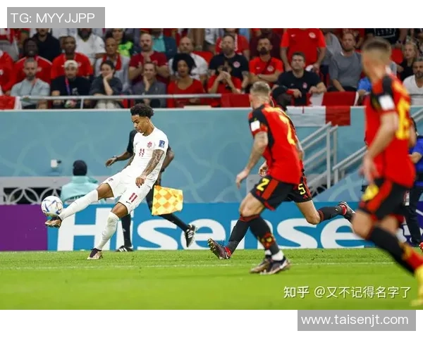 瑞典与土耳其足球比赛现场直播精彩回顾与分析